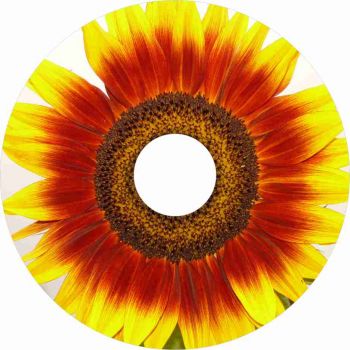 1306-16 Sonnenblume