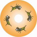 1303-15 Heuschrecken